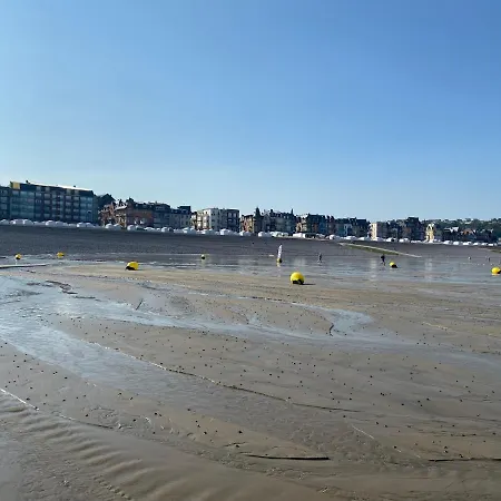 Les Fleurs En Front De *