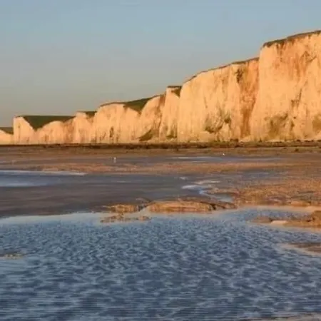 Les Fleurs En Front De شقة *